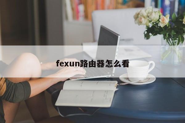 fexun路由器怎么看