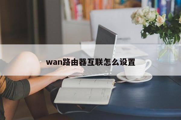 wan路由器互联怎么设置