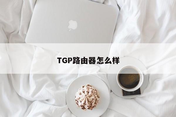 TGP路由器怎么样