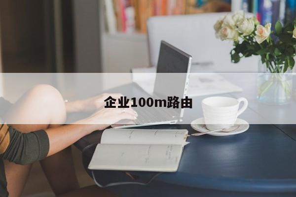 企业100m路由