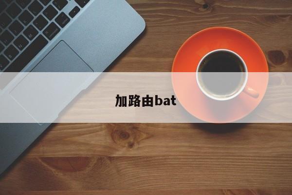 加路由bat