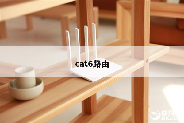 cat6路由